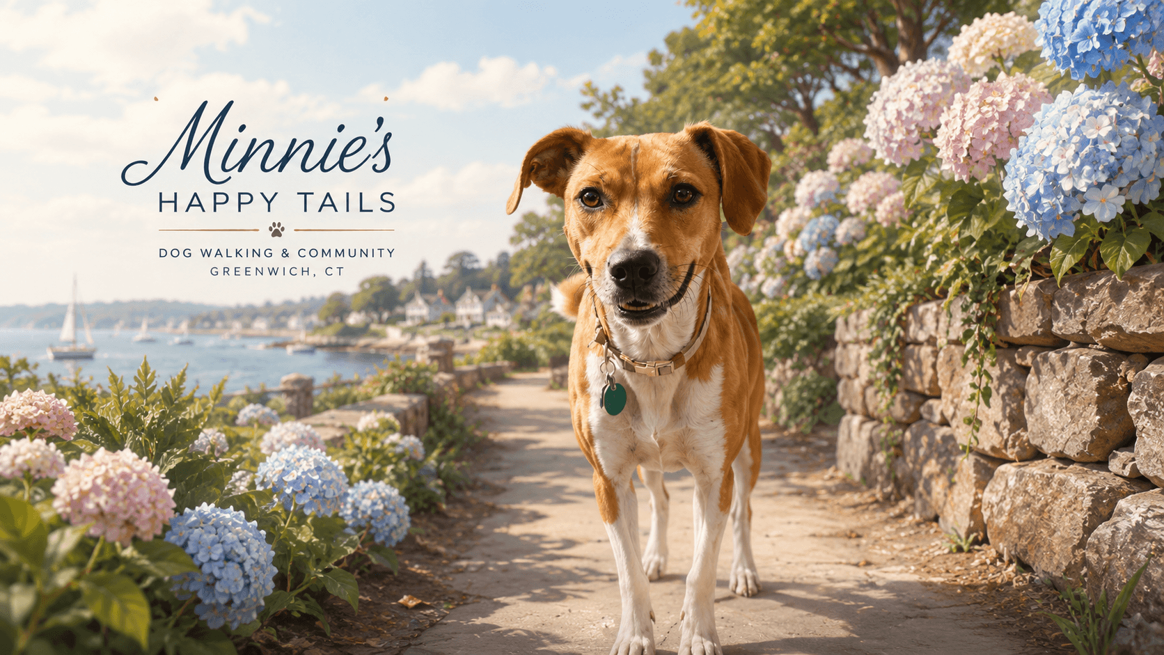 Minnie, a tan-and-white dog, on a Greenwich waterfront path lined with hydrangeas